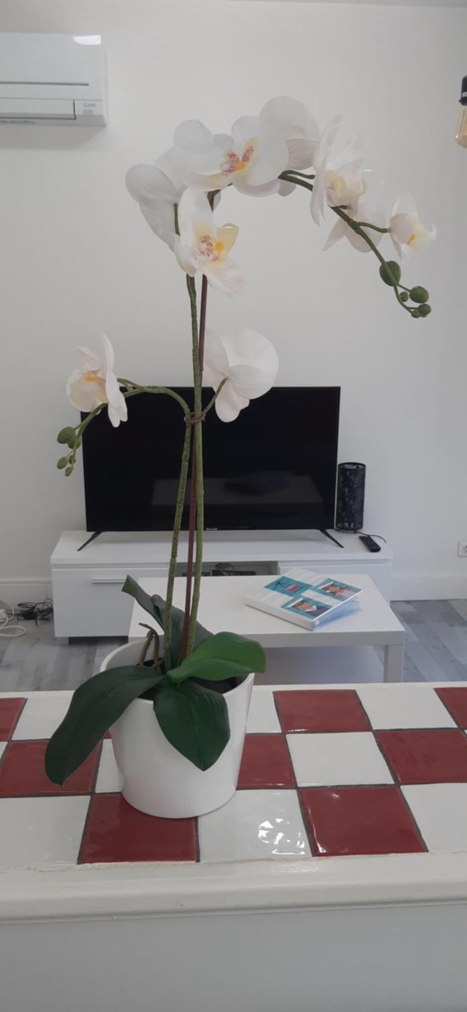 Logement Le Serein Тулон Екстер'єр фото